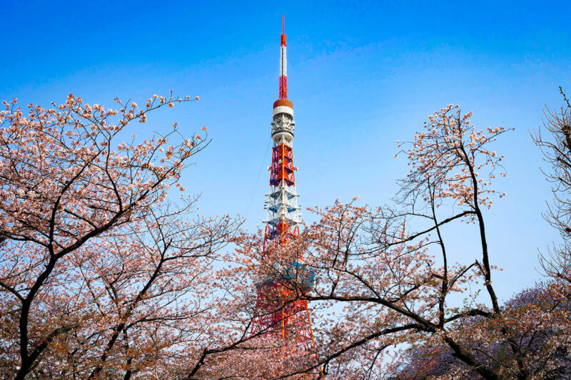 Hình ảnh tháp Tokyo đẹp tuyệt