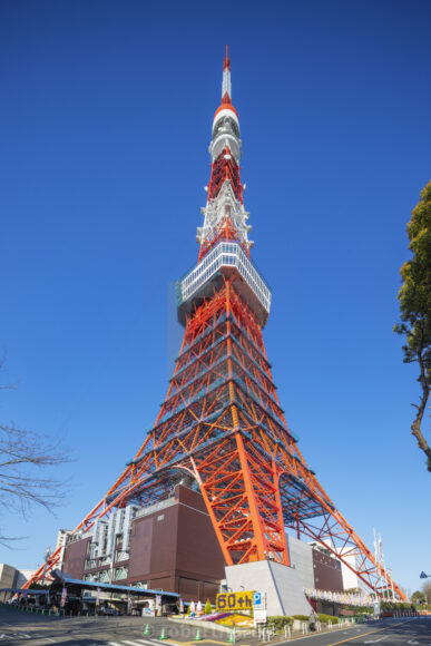 Hình ảnh tháp Tokyo đỏ