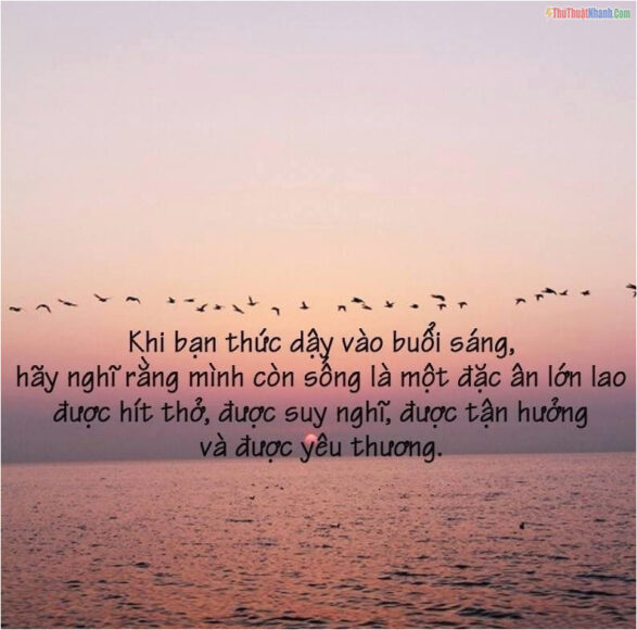 Stt - những câu nói hàm ý sâu sắc về cuộc sống ngắn gọn, đầy ý nghĩa