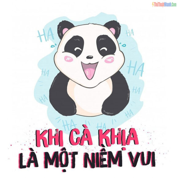 Stt - những câu nói hay cà khịa hài hước nhất