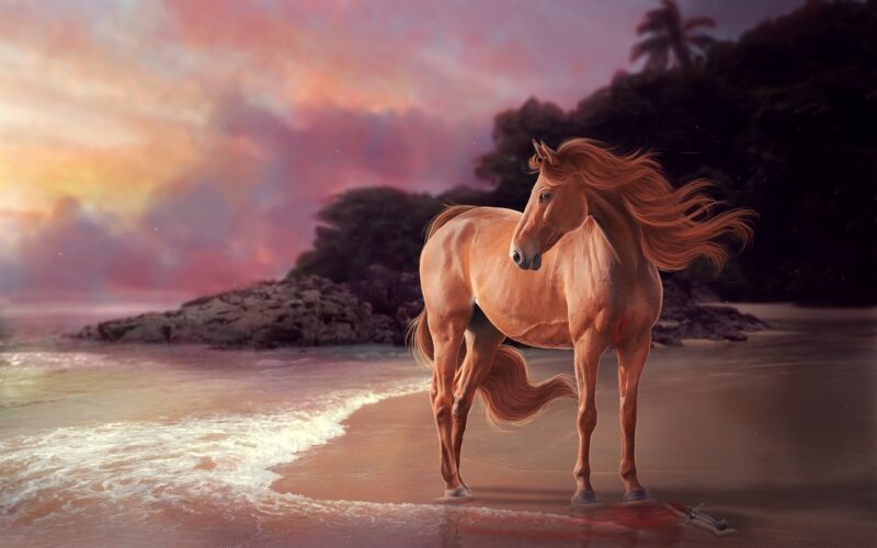 hình ảnh con ngựa 3d