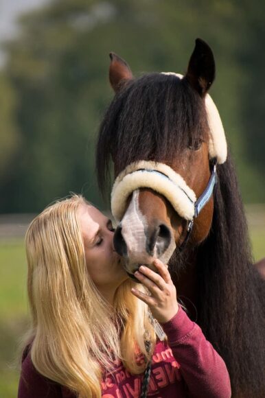 hình ảnh con ngựa và cô gái đẹp