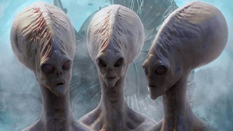 hình ảnh người ngoài hành tinh kỳ lạ