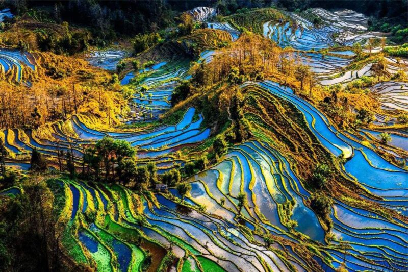 hình ảnh ruộng bậc thang đẹp mãn nhãn