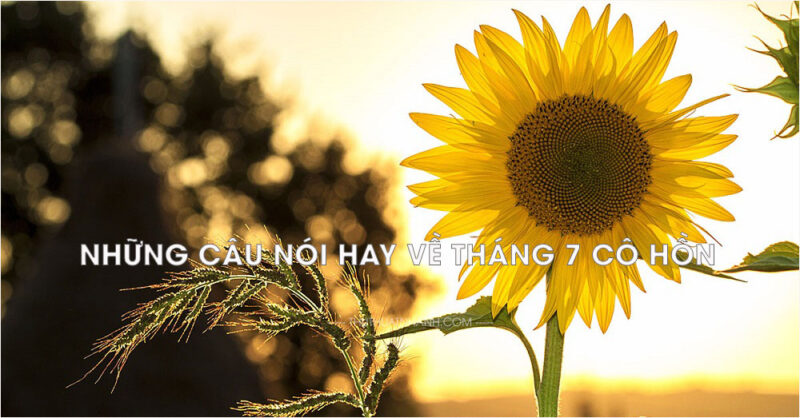 những câu nói hay về tháng 7 cô hồn