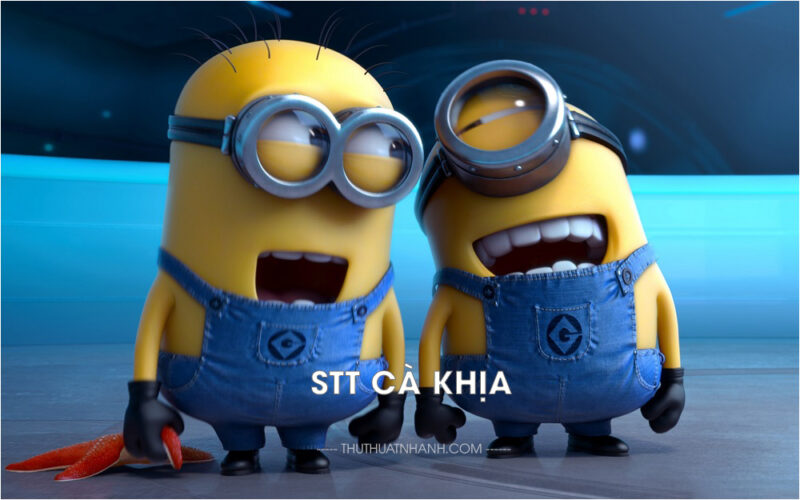 stt cà khịa