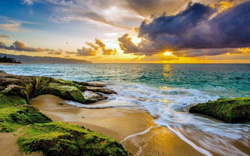 Background biển - Beach ở hawaii