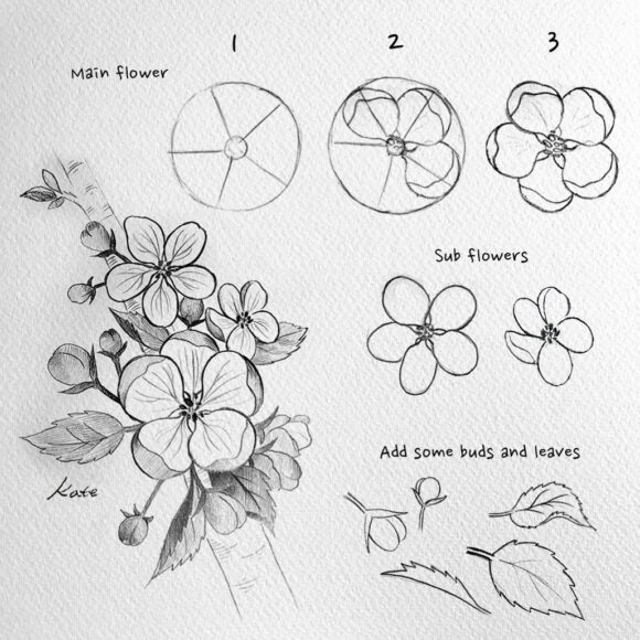 Hình vẽ cách vẽ bông hoa đào