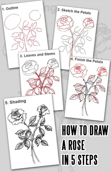 Hình vẽ cách vẽ bông hoa hồng khó nhất