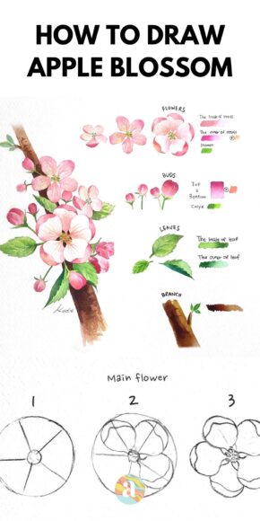 Hình vẽ cách vẽ bông hoa táo