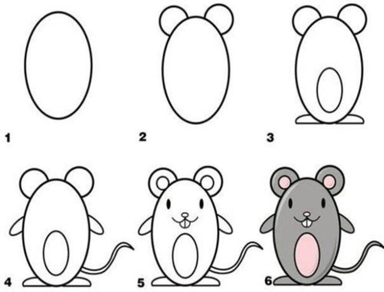 Hình vẽ cách vẽ con vật chuột xám