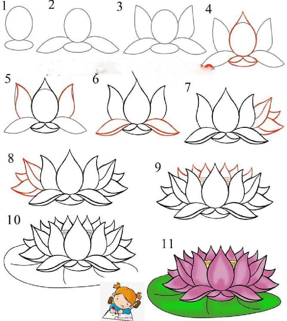 Chi tiết 367 vẽ hoa sen đơn giản nhất siêu đỉnh  thtantai2eduvn
