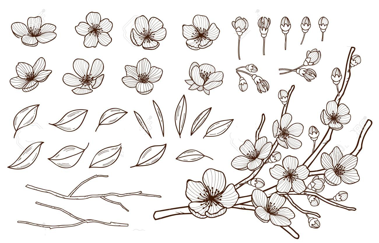 Chi tiết với hơn 52 về hình vẽ bông hoa đào  cdgdbentreeduvn
