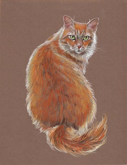 Hình vẽ mèo bằng sơn dầu