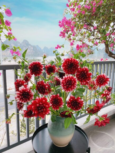 Mẫu hoa để bàn sang trọng