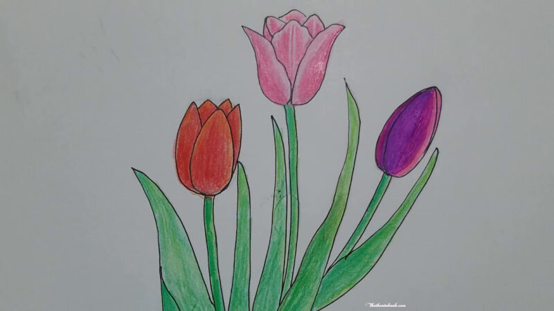 Cách vẽ bông hoa đẹp nhất