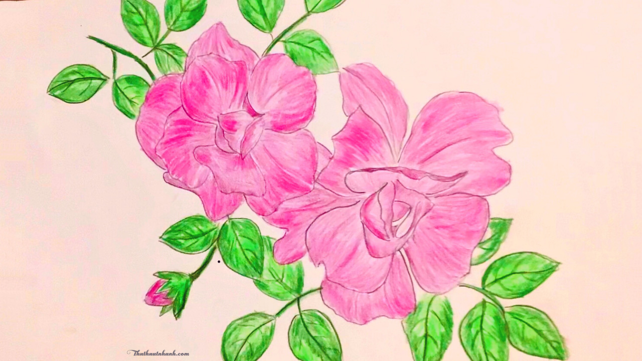 Tập vẽ Bé vẽ bông hoa dành cho trẻ em năng động