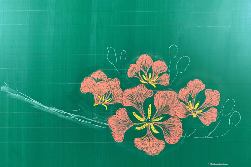 Cách vẽ bông hoa Phượng đẹp