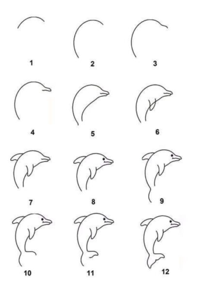 cách vẽ con cá heo hoạt hình đơn giản