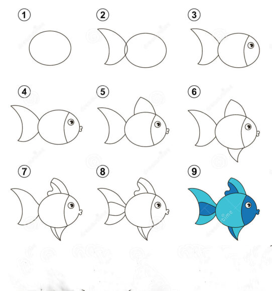 cách vẽ con cá hoạt hình từng bước chi tiết