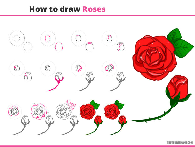 cách vẽ bình hoa hồng