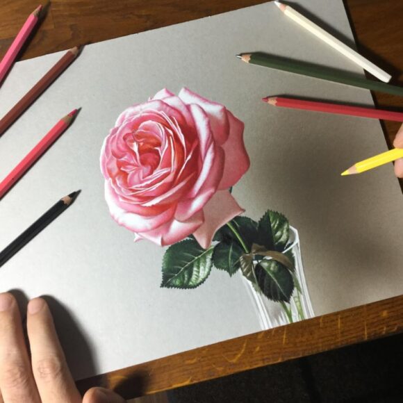 cách vẽ hoa hồng chì màu