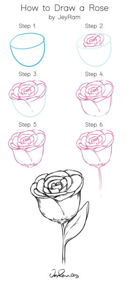 cách vẽ hoa hồng chi tiết