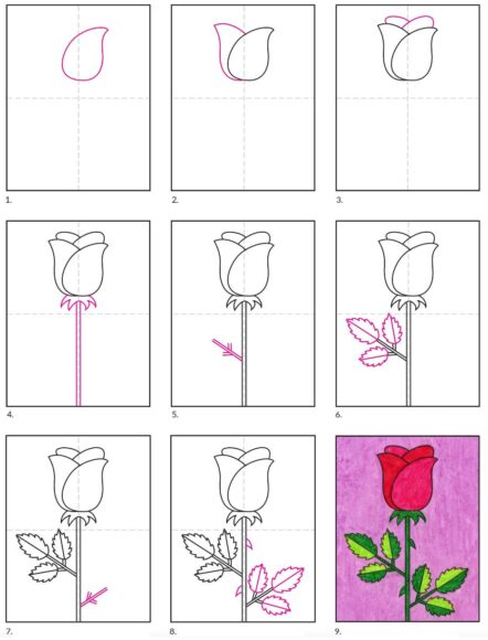 cách vẽ hoa hồng chi tiết nhất
