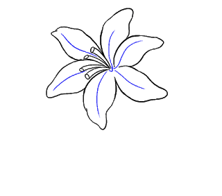 cách vẽ hoa ly, hoa loa kèn bước 13