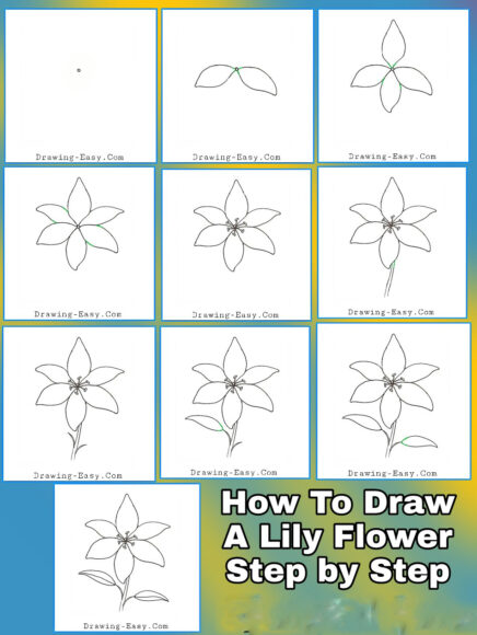 cách vẽ hoa ly, hoa loa kèn chi tiết