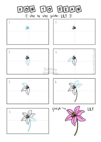 cách vẽ hoa ly, hoa loa kèn dễ dàng