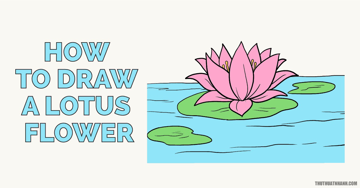 Cách vẽ và tô màu hoa sen đơn giản Vẽ hoa sen bằng bút chì  YouTube