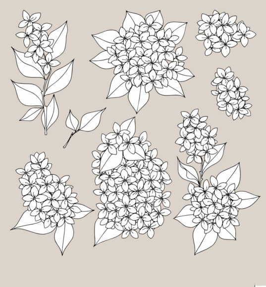 Lilac. Hand drawing. Set of vector illustrations