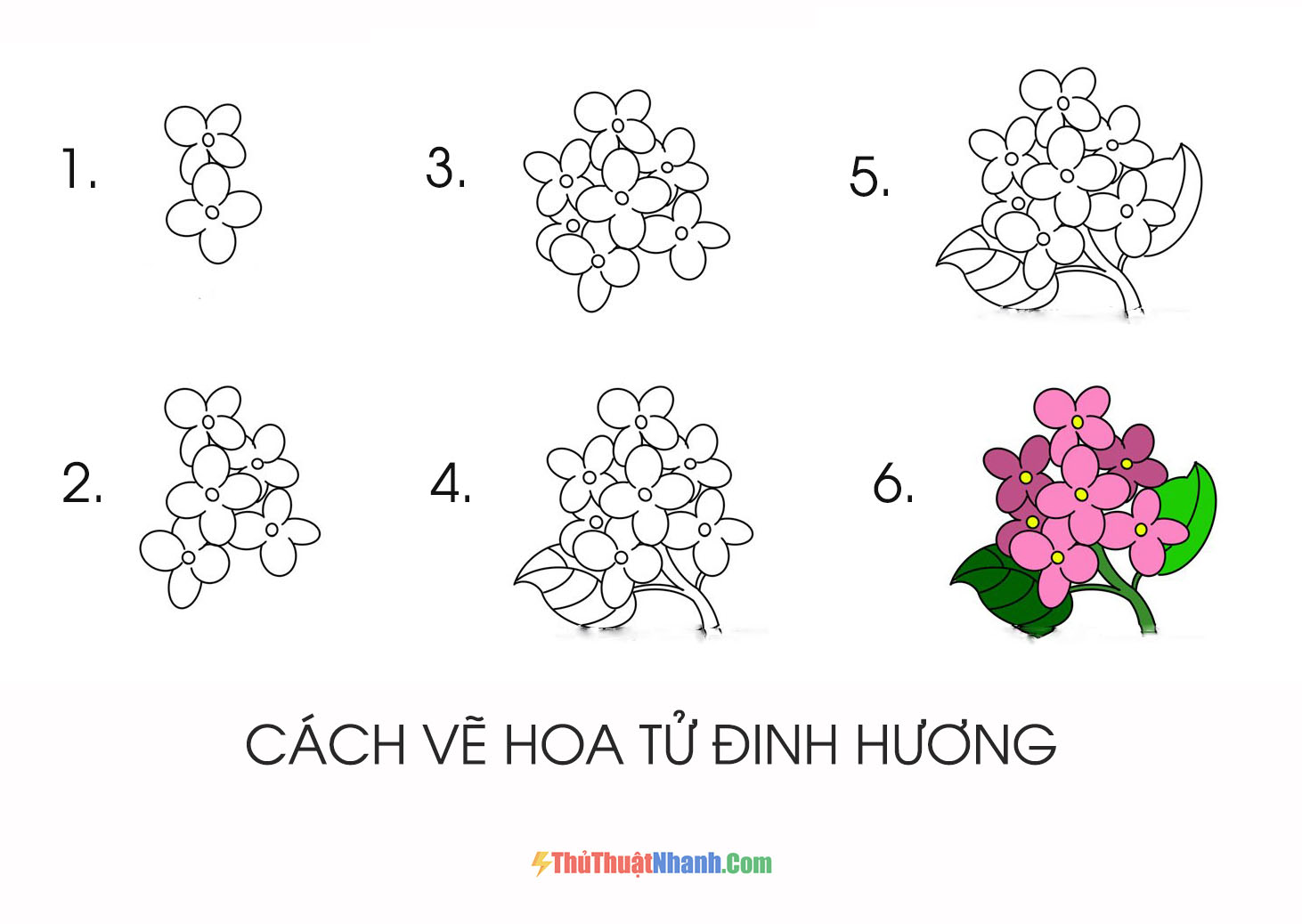 Hình Vẽ Hoa Anh Đào Cách Vẽ Hoa Anh Đào Đơn Giản