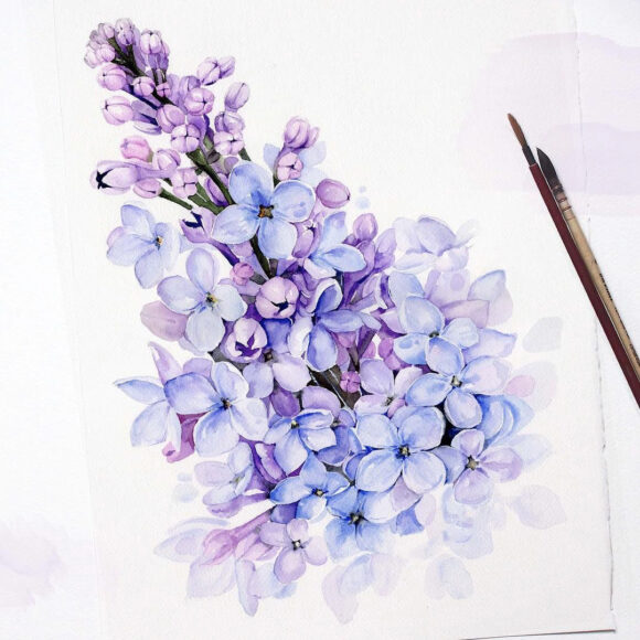 cách vẽ hoa tử đinh hương tím xanh đẹp