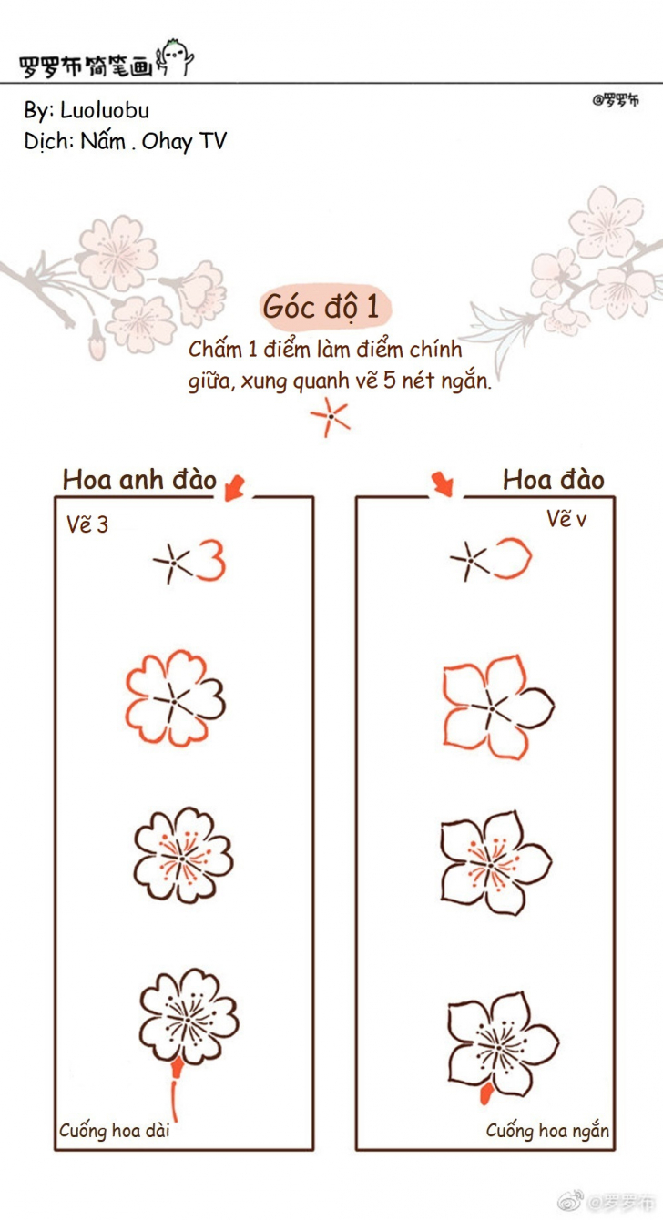 Hướng dẫn cách vẽ hoa anh đào đơn giản với 8 bước cơ bản  Nhà Đẹp DHB