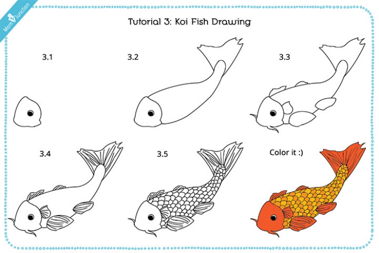 hình vẽ cách vẽ con cá chép koi