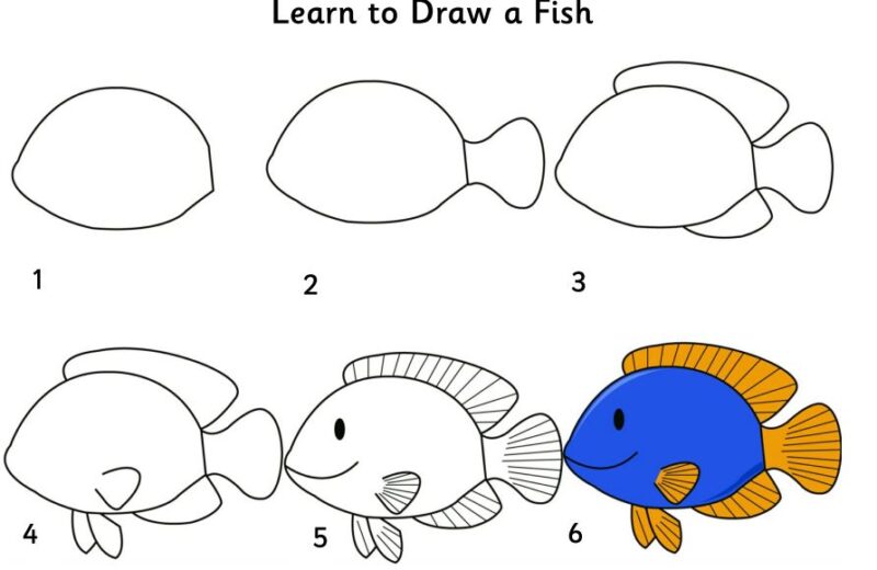 hình vẽ cách vẽ con cá đơn giản nhất cho các bé