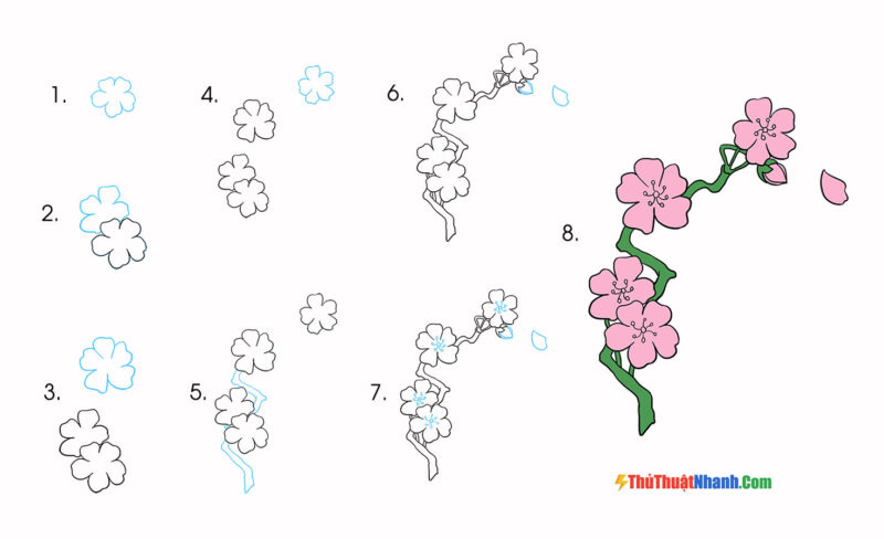 Rất Hay: 17 Hình vẽ cách vẽ hoa anh đào đẹp, đơn giản chi tiết nhất