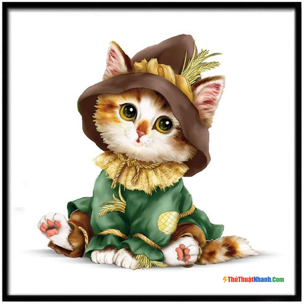 50 Hình ảnh avatar cute mèo đẹpdễ thương  cực ngầu