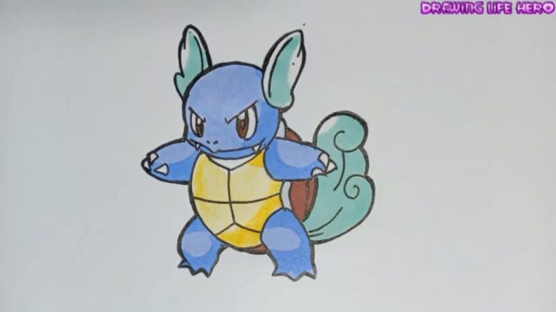 hình vẽ tranh Pokemon Wartortle Rùa Nước