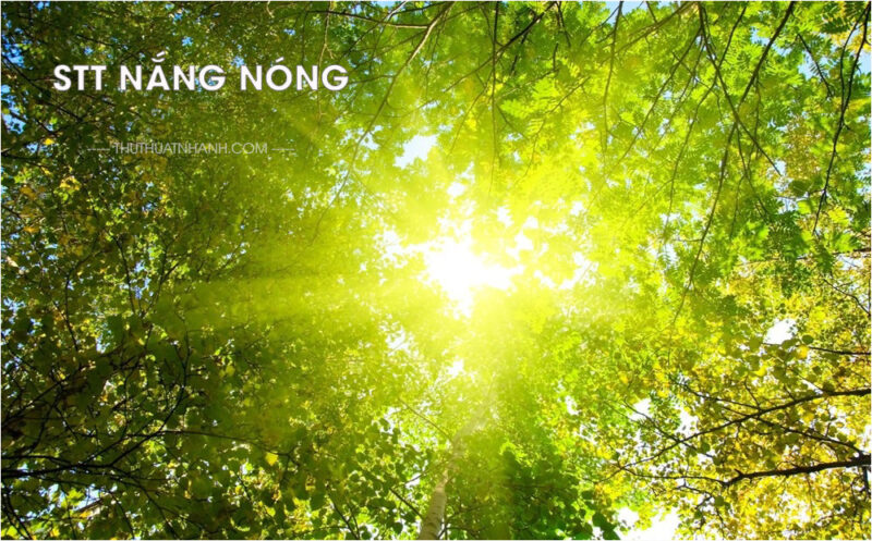 Stt nắng nóng