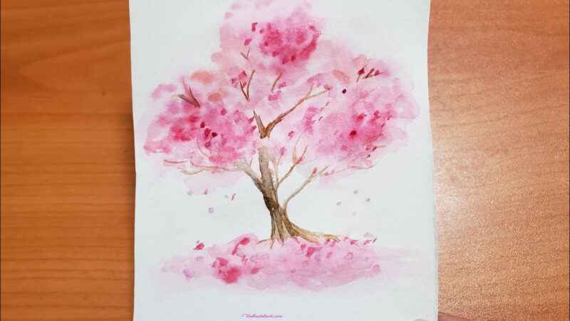 Cách vẽ hoa Anh Đào bằng màu nước