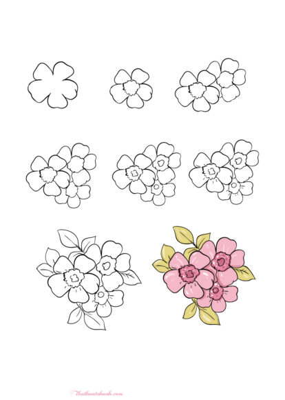 Cách vẽ hoa Anh Đào đơn giản theo từng bước