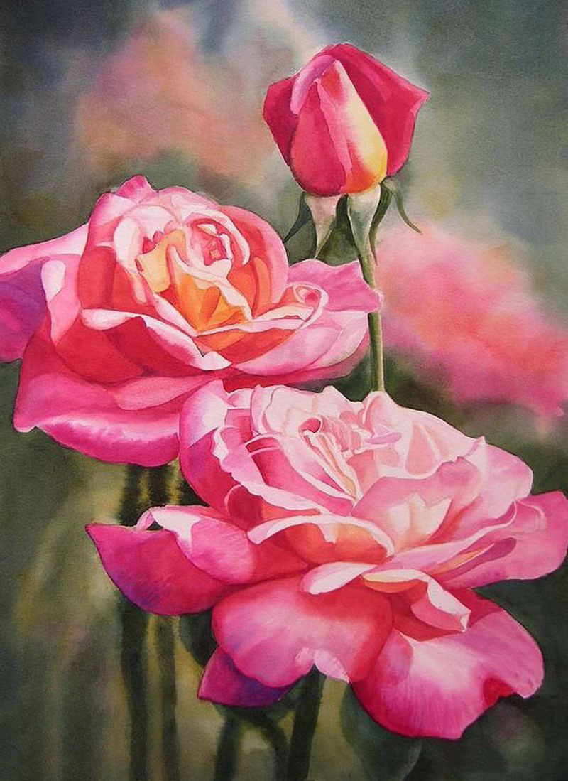 Học tập vẽ hoa hồng bằng màu nước từ cơ bản đến chuyên sâu