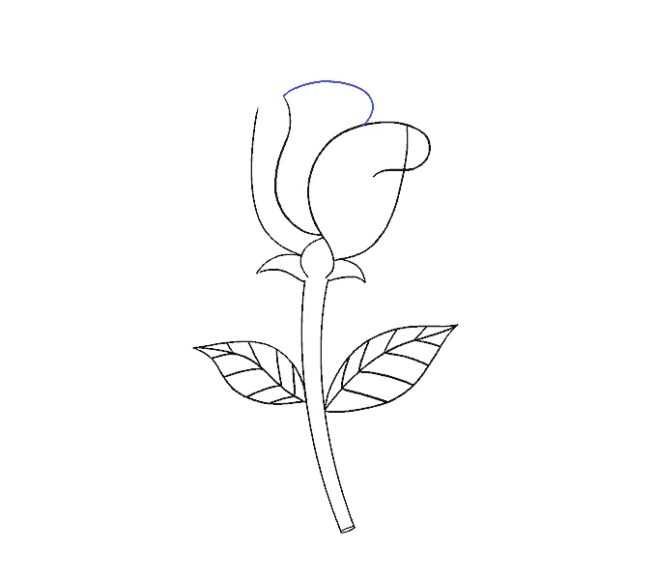 hình vẽ cách vẽ bông hoa bước 16