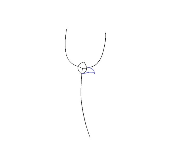 hình vẽ cách vẽ bông hoa bước 4