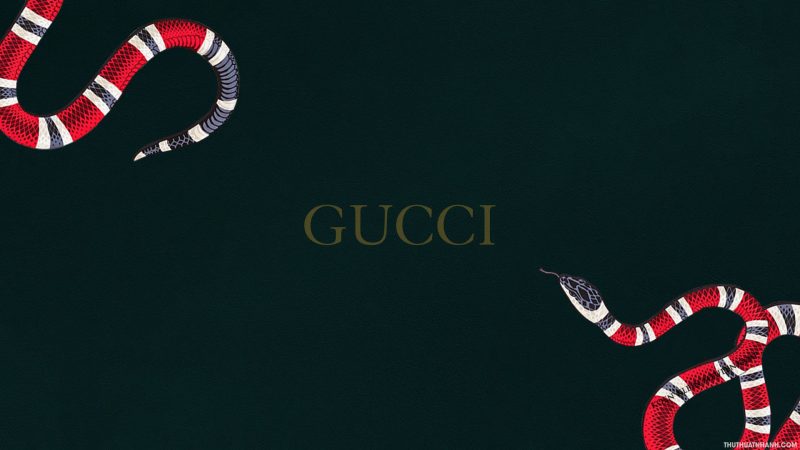 Hình ảnh Gucci đẹp, đẳng cấp và sang trọng nhất