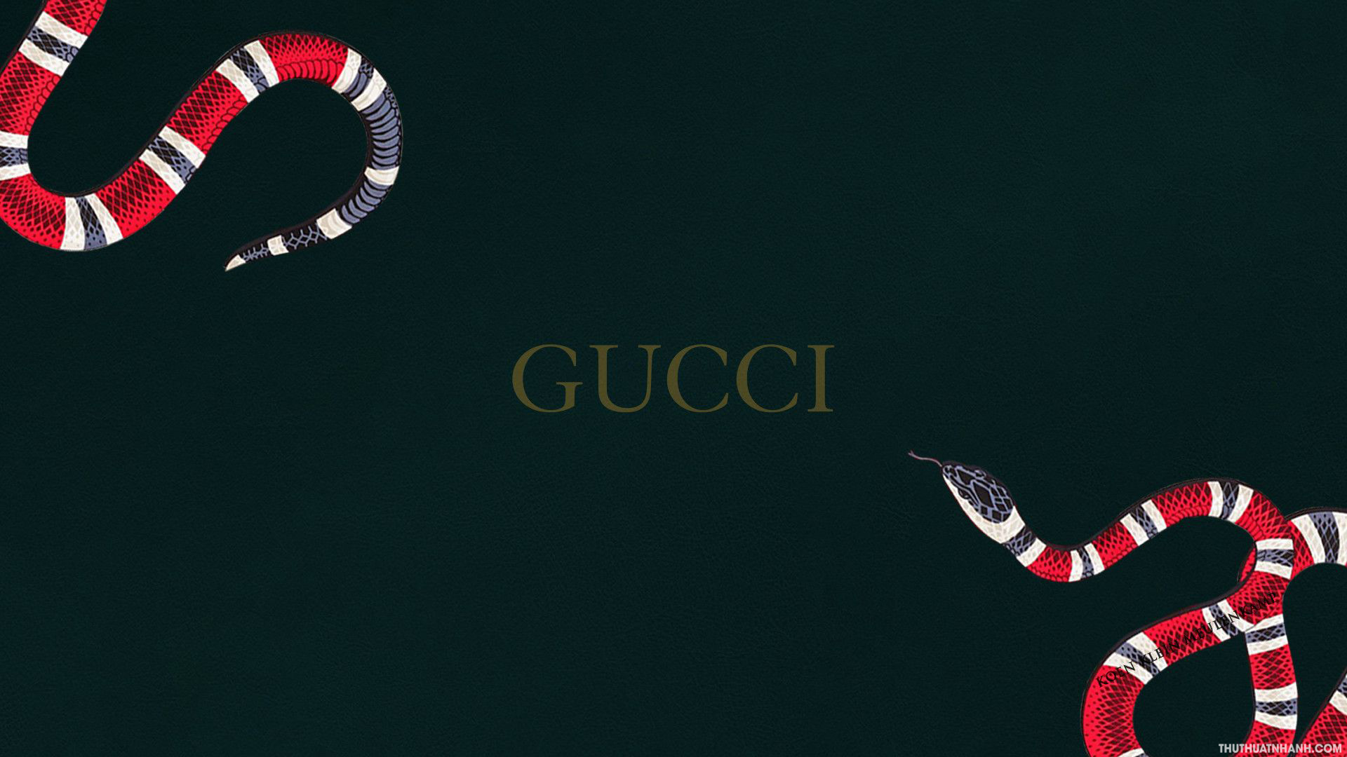 Tổng hợp Hình Nền Gucci giá rẻ bán chạy tháng 72023  BeeCost
