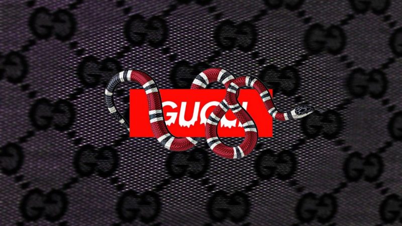 Hình ảnh Gucci và rắn